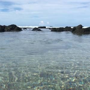 Meet your Posher, Stanley